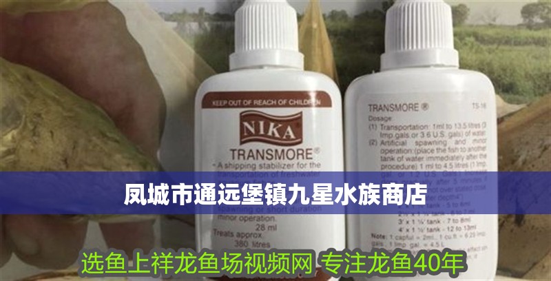 鳳城市通遠堡鎮九星水族商店 鳳城市通遠堡鎮九星水族商店 全國水族館企業名錄 第3張