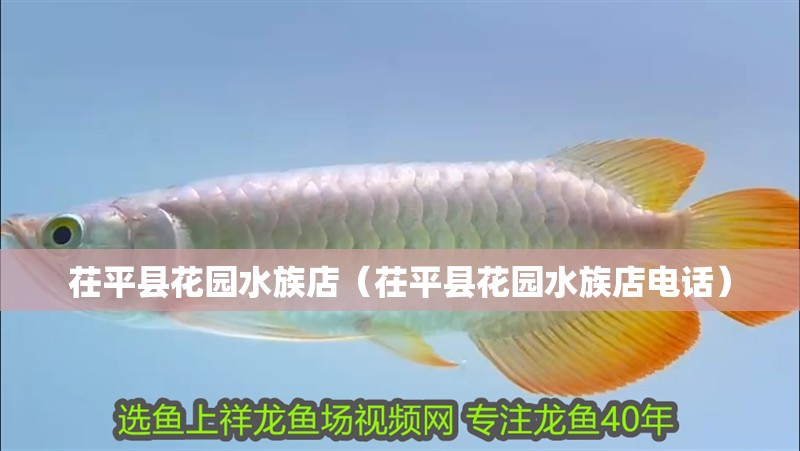 茌平縣花園水族店（茌平縣花園水族店電話） 茌平縣花園水族店（茌平縣花園水族店電話） 全國水族館企業名錄 第2張