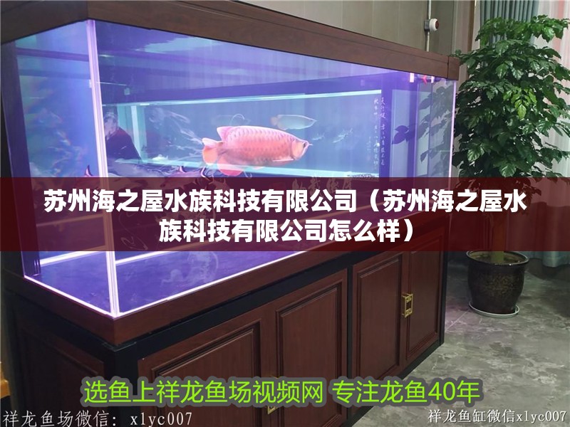 蘇州海之屋水族科技有限公司（蘇州海之屋水族科技有限公司怎么樣） 蘇州海之屋水族科技有限公司（蘇州海之屋水族科技有限公司怎么樣） 全國水族館企業(yè)名錄 第2張