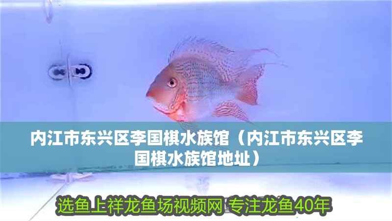 內(nèi)江市東興區(qū)李國(guó)棋水族館（內(nèi)江市東興區(qū)李國(guó)棋水族館地址）