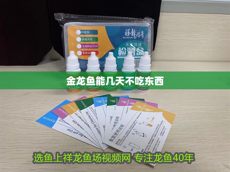 金龍魚能幾天不吃東西