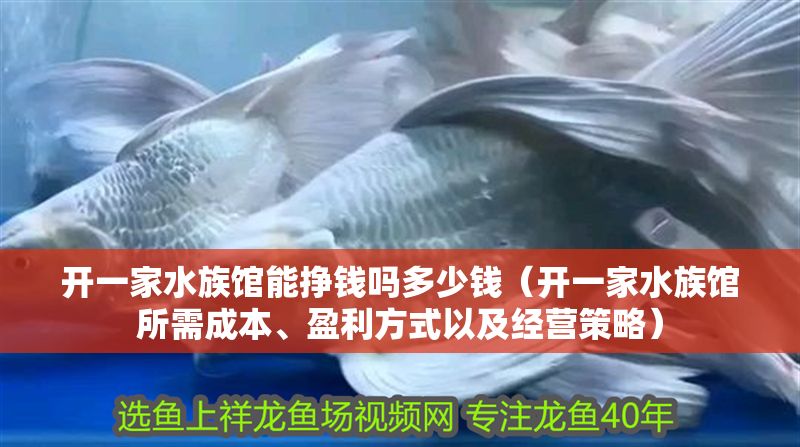 開一家水族館能掙錢嗎多少錢（開一家水族館所需成本、盈利方式以及經營策略）