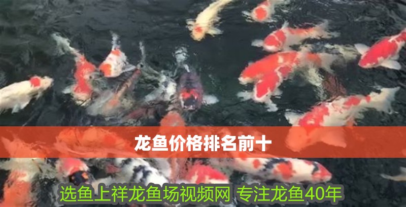 龍魚價格排名前十