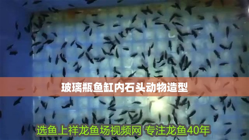 玻璃瓶魚缸內石頭動物造型