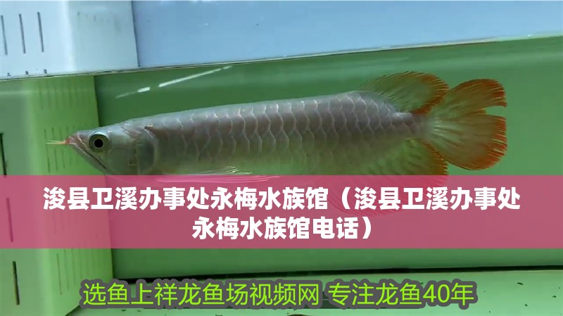 ?？h衛溪辦事處永梅水族館（?？h衛溪辦事處永梅水族館電話）