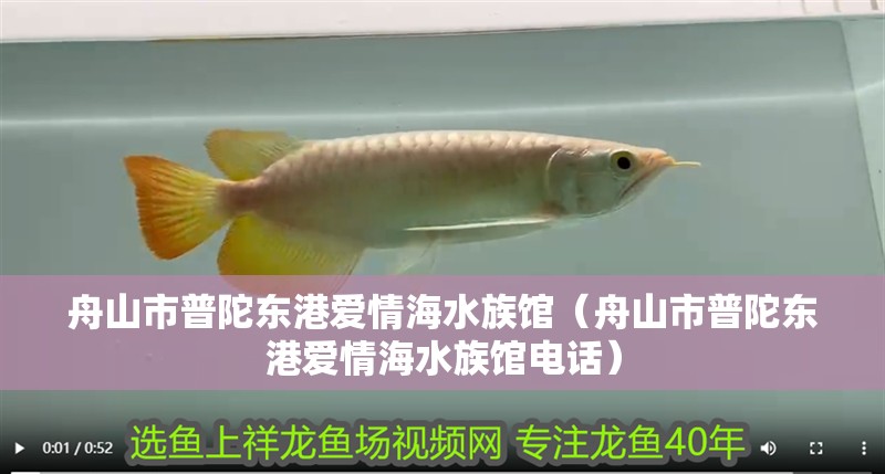 舟山市普陀東港愛情海水族館（舟山市普陀東港愛情海水族館電話）