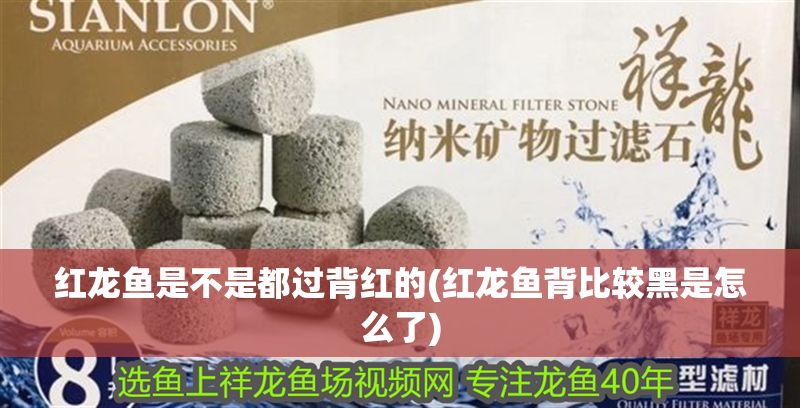 紅龍魚是不是都過背紅的(紅龍魚背比較黑是怎么了)