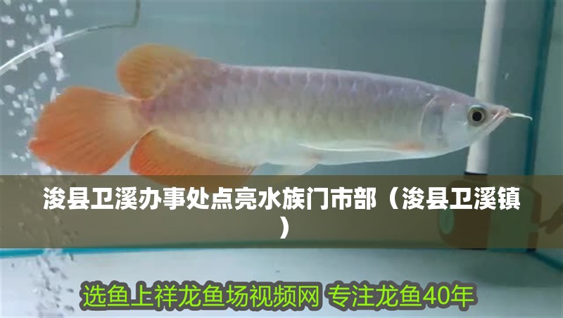 浚縣衛(wèi)溪辦事處點亮水族門市部（浚縣衛(wèi)溪鎮(zhèn)）