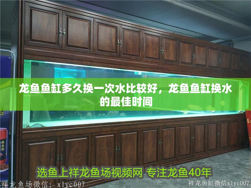 龍魚魚缸多久換一次水比較好，龍魚魚缸換水的最佳時間