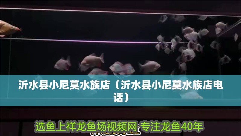 沂水縣小尼莫水族店（沂水縣小尼莫水族店電話）
