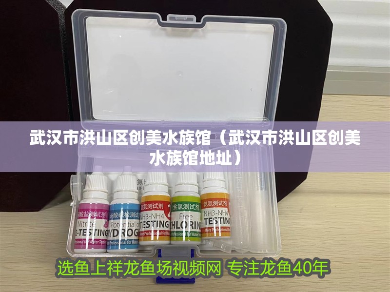 武漢市洪山區(qū)創(chuàng)美水族館（武漢市洪山區(qū)創(chuàng)美水族館地址）