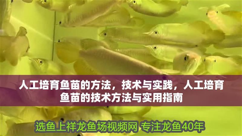 人工培育魚苗的方法，技術與實踐，人工培育魚苗的技術方法與實用指南 人工培育魚苗的方法，技術與實踐，人工培育魚苗的技術方法與實用指南 龍魚百科 第2張