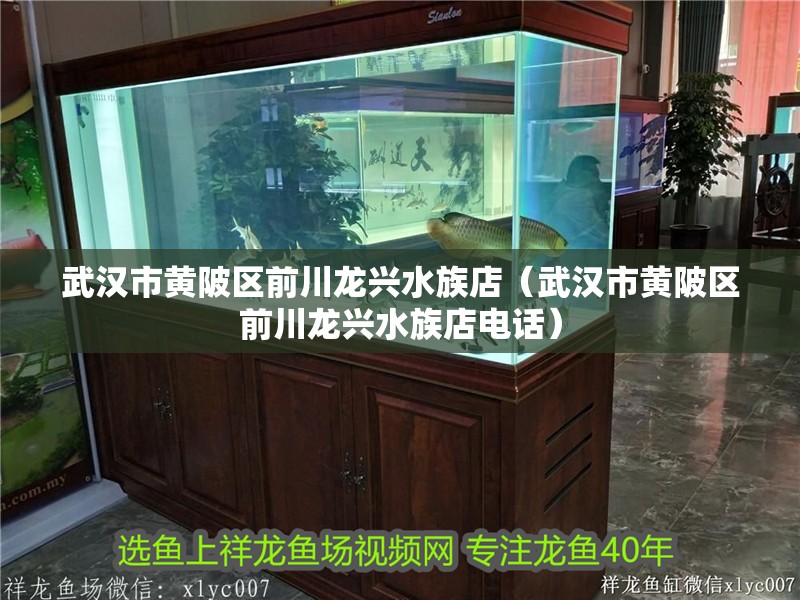 武漢市黃陂區前川龍興水族店（武漢市黃陂區前川龍興水族店電話）