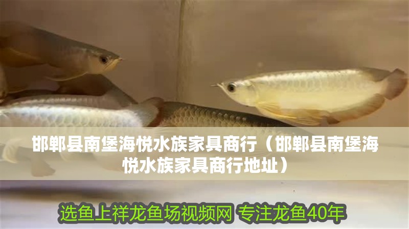 邯鄲縣南堡海悅水族家具商行（邯鄲縣南堡海悅水族家具商行地址）