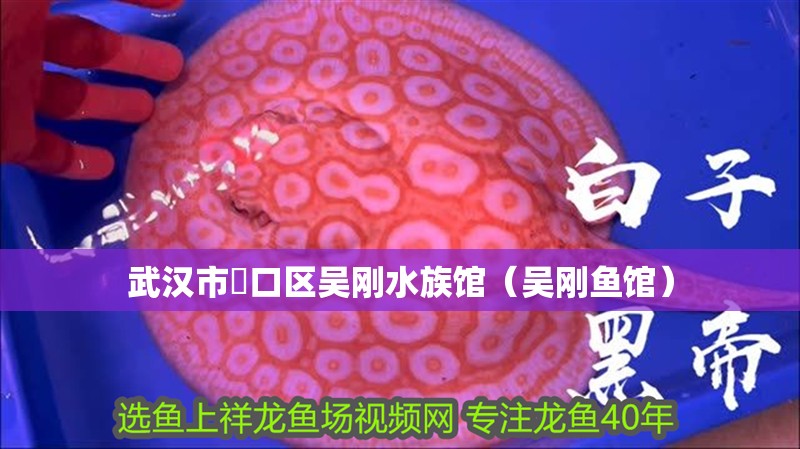 武漢市硚口區吳剛水族館（吳剛魚館）