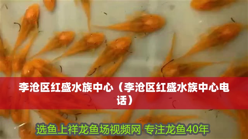 李滄區紅盛水族中心（李滄區紅盛水族中心電話）