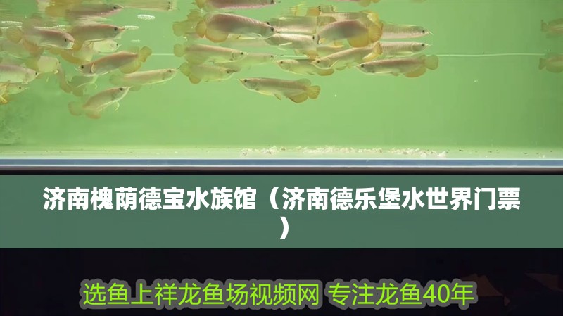 濟南槐蔭德寶水族館（濟南德樂堡水世界門票）