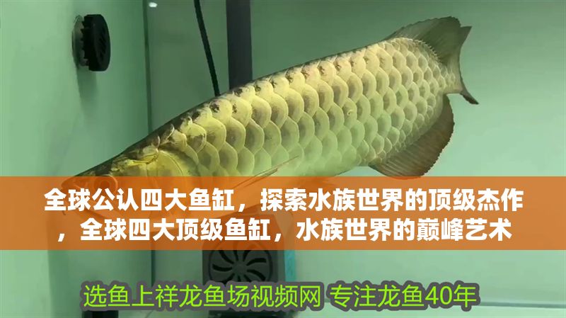 全球公認四大魚缸，探索水族世界的頂級杰作，全球四大頂級魚缸，水族世界的巔峰藝術