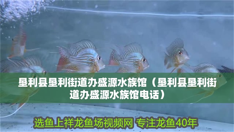 墾利縣墾利街道辦盛源水族館（墾利縣墾利街道辦盛源水族館電話）