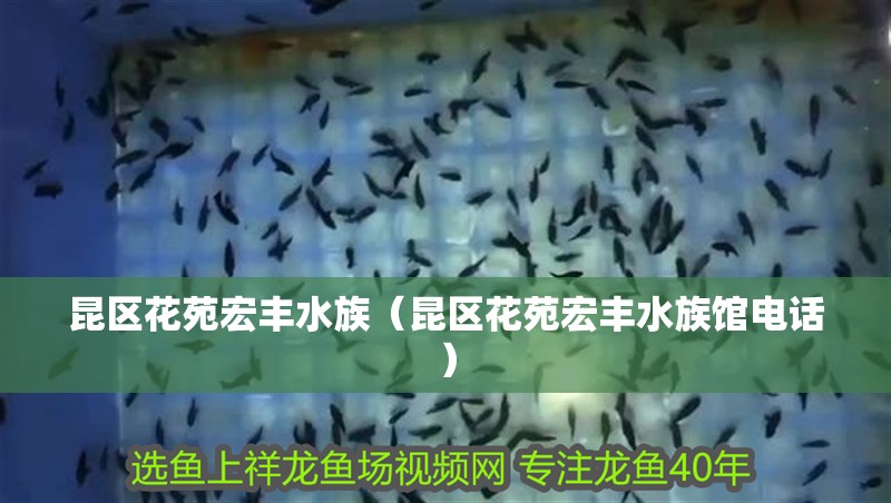 昆區花苑宏豐水族（昆區花苑宏豐水族館電話）