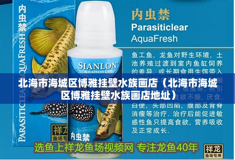 北海市海城區(qū)博雅掛壁水族畫店（北海市海城區(qū)博雅掛壁水族畫店地址）
