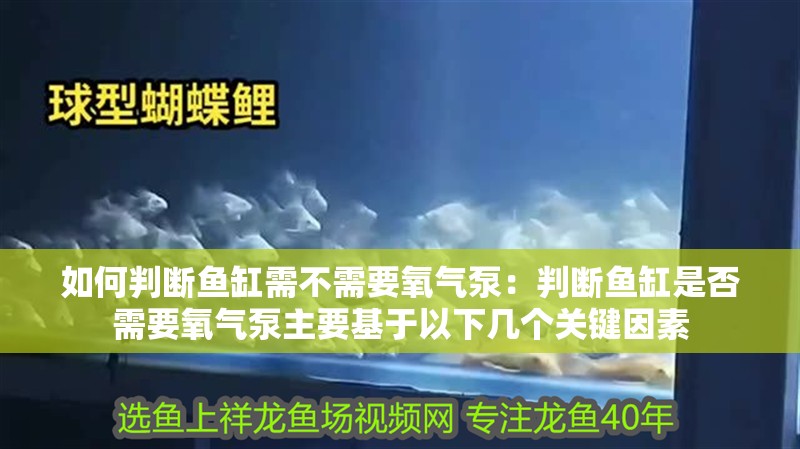 如何判斷魚缸需不需要氧氣泵：判斷魚缸是否需要氧氣泵主要基于以下幾個關鍵因素