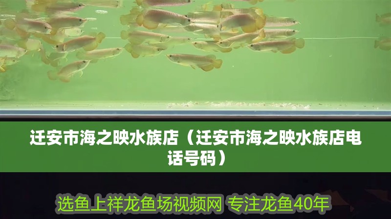 遷安市海之映水族店（遷安市海之映水族店電話號碼）