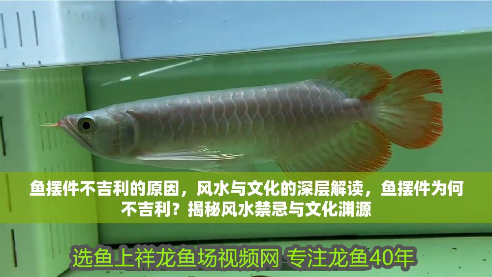 魚擺件不吉利的原因，風水與文化的深層解讀，魚擺件為何不吉利？揭秘風水禁忌與文化淵源