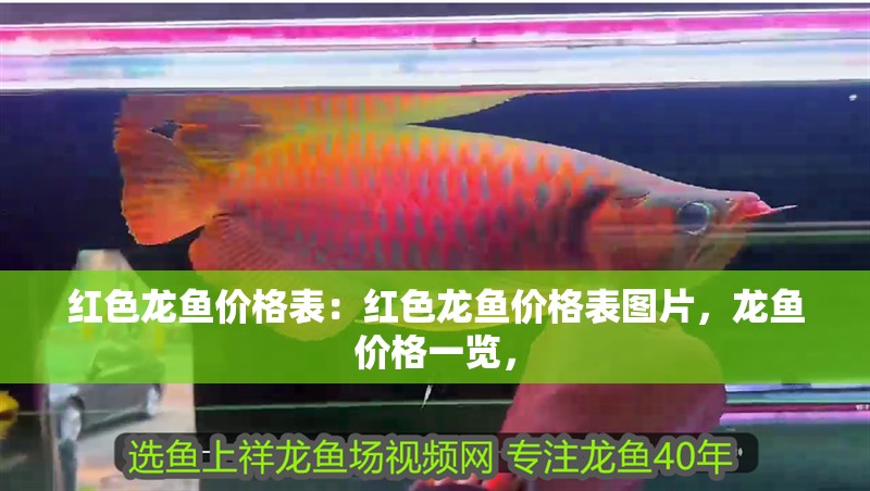 紅色龍魚價格表：紅色龍魚價格表圖片，龍魚價格一覽，