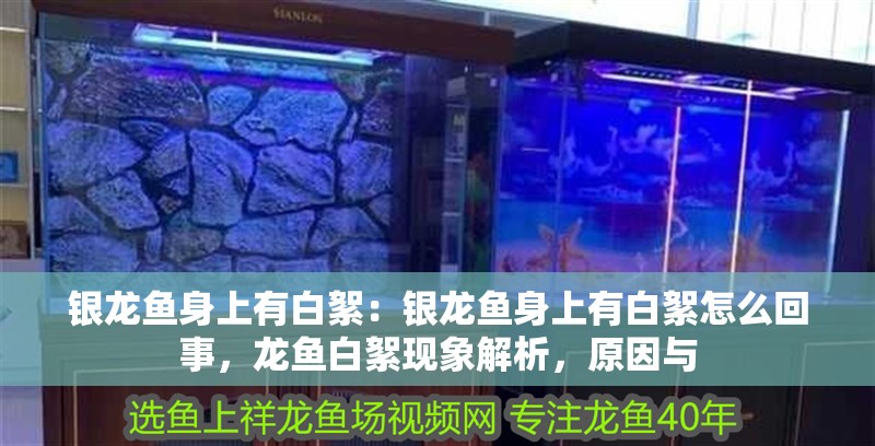 銀龍魚身上有白絮：銀龍魚身上有白絮怎么回事，龍魚白絮現象解析，原因與