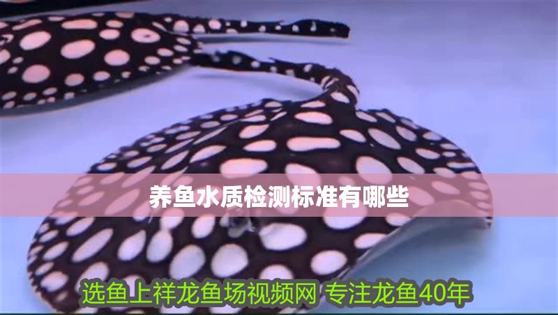 養魚水質檢測標準有哪些 養魚水質檢測標準有哪些 錦鯉魚百科 第2張