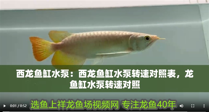 西龍魚缸水泵：西龍魚缸水泵轉速對照表，龍魚缸水泵轉速對照