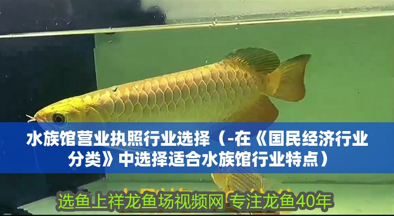 水族館營業執照行業選擇（-在《國民經濟行業分類》中選擇適合水族館行業特點）