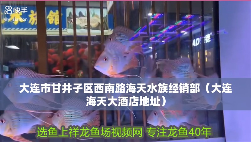 大連市甘井子區西南路海天水族經銷部（大連海天大酒店地址）