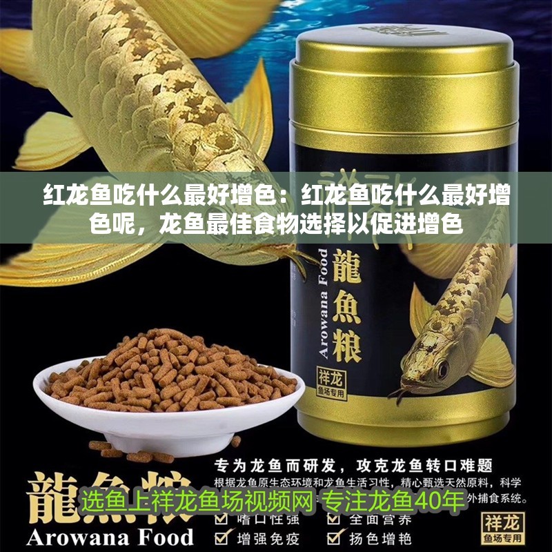 紅龍魚吃什么最好增色：紅龍魚吃什么最好增色呢，龍魚最佳食物選擇以促進增色