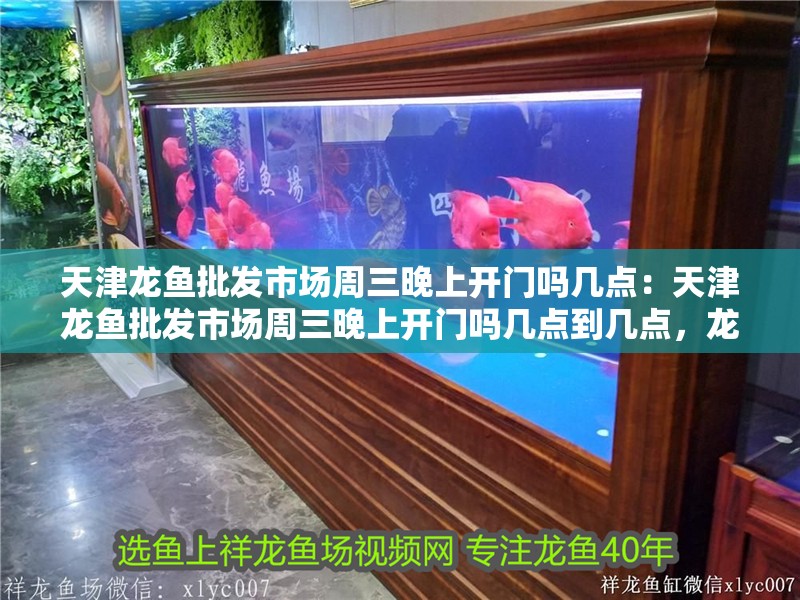 天津龍魚批發(fā)市場周三晚上開門嗎幾點(diǎn)：天津龍魚批發(fā)市場周三晚上開門嗎幾點(diǎn)到幾點(diǎn)，龍魚批發(fā)市場周三晚上營業(yè)時間及開門