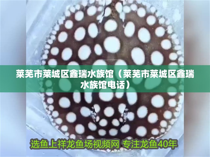 萊蕪市萊城區鑫瑞水族館（萊蕪市萊城區鑫瑞水族館電話）