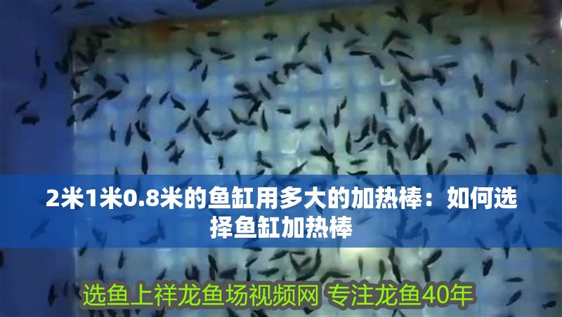 2米1米0.8米的魚缸用多大的加熱棒：如何選擇魚缸加熱棒