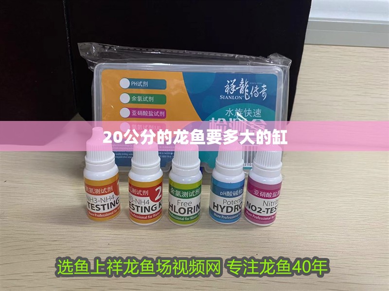 20公分的龍魚要多大的缸