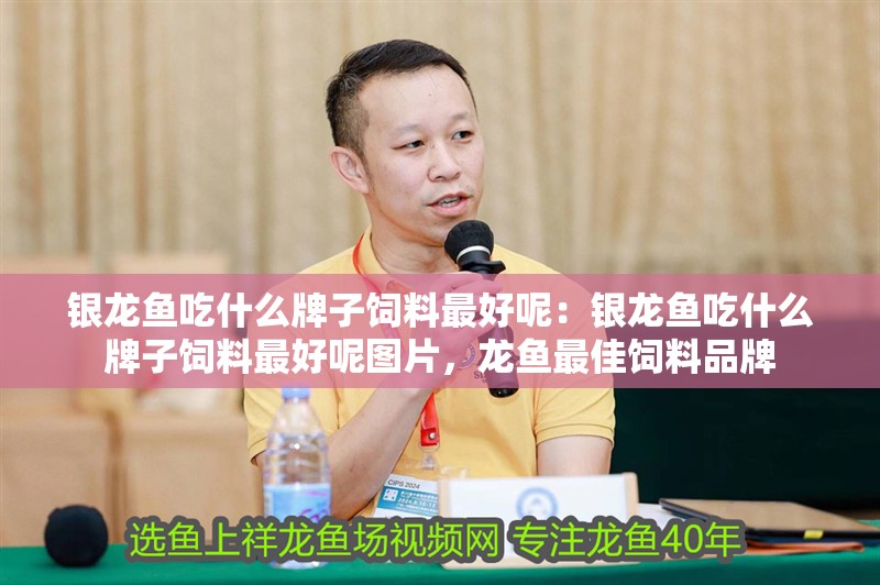 銀龍魚吃什么牌子飼料最好呢：銀龍魚吃什么牌子飼料最好呢圖片，龍魚最佳飼料品牌