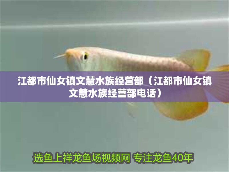 江都市仙女鎮文慧水族經營部（江都市仙女鎮文慧水族經營部電話）