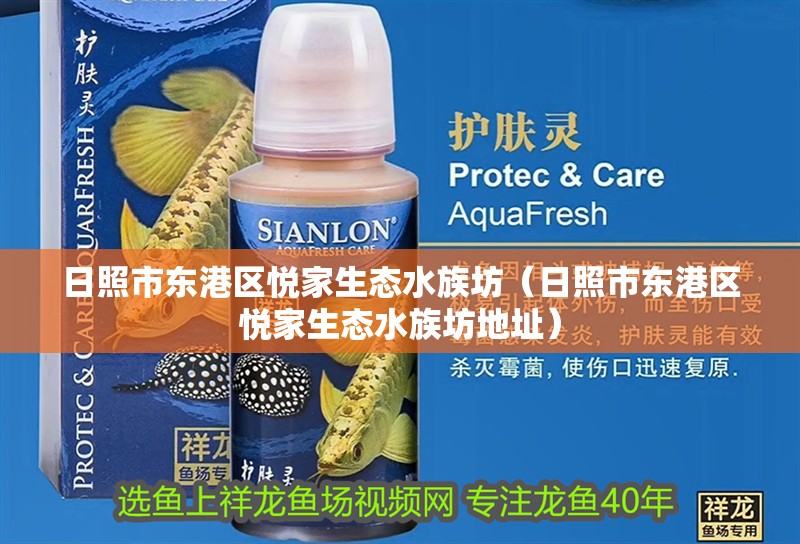 日照市東港區悅家生態水族坊（日照市東港區悅家生態水族坊地址）