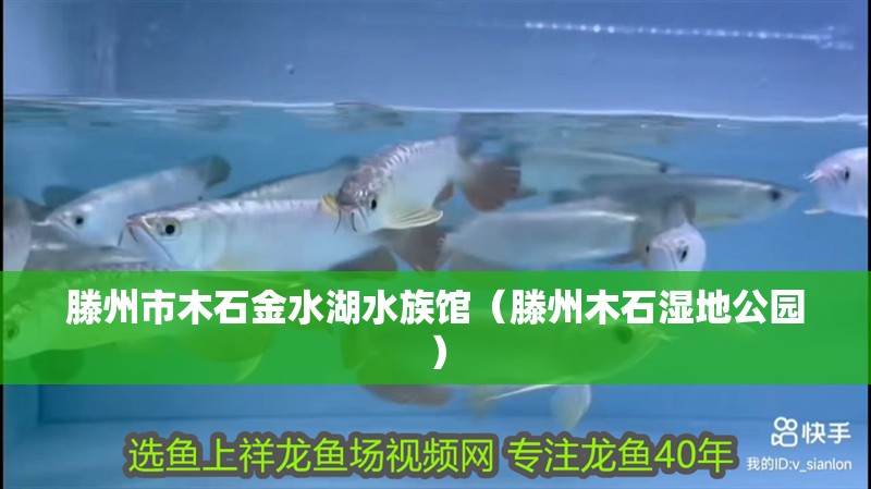 滕州市木石金水湖水族館(滕州木石濕地公園) 全國水族館企業名錄 第2張 滕州市木石金水湖水族館(滕州木石濕地公園) 滕州市木石金水湖水族館(滕州木石濕地公園) 全國水族館企業名錄 第2張