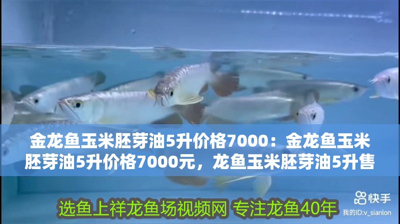 金龍魚玉米胚芽油5升價格7000：金龍魚玉米胚芽油5升價格7000元，龍魚玉米胚芽油5升售價7000元