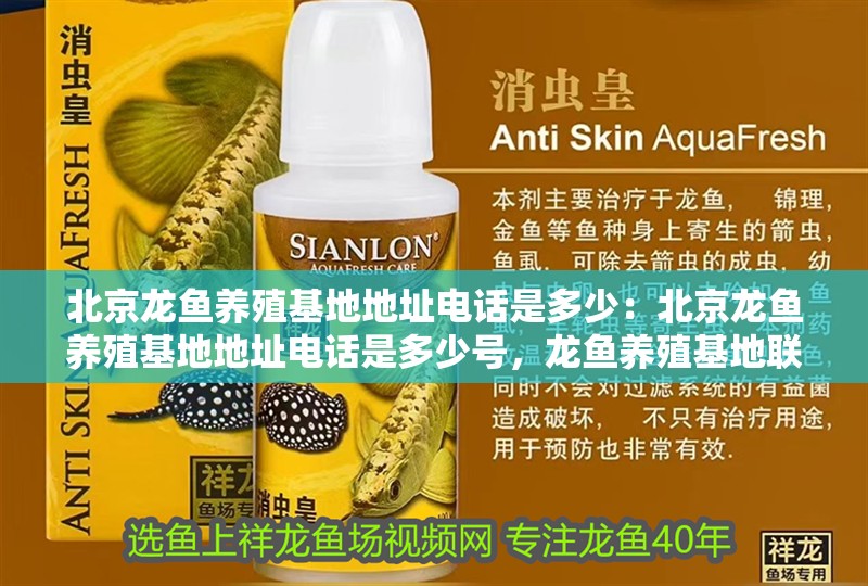 北京龍魚養殖基地地址電話是多少：北京龍魚養殖基地地址電話是多少號，龍魚養殖基地聯系方式
