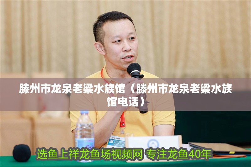 滕州市龍泉老梁水族館（滕州市龍泉老梁水族館電話） 滕州市龍泉老梁水族館（滕州市龍泉老梁水族館電話） 全國水族館企業(yè)名錄 第2張