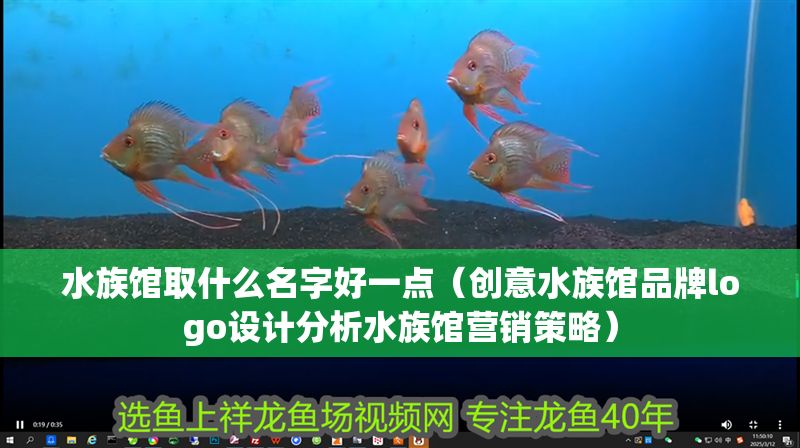 水族館取什么名字好一點(diǎn)（創(chuàng)意水族館品牌logo設(shè)計(jì)分析水族館營(yíng)銷策略）
