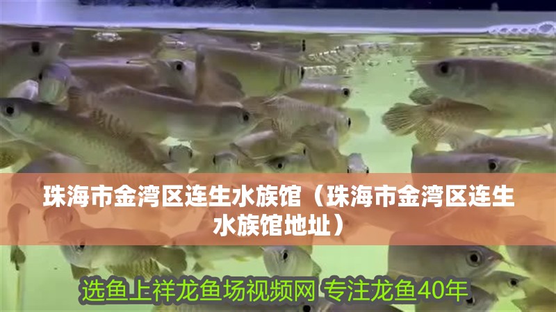 珠海市金灣區連生水族館（珠海市金灣區連生水族館地址）