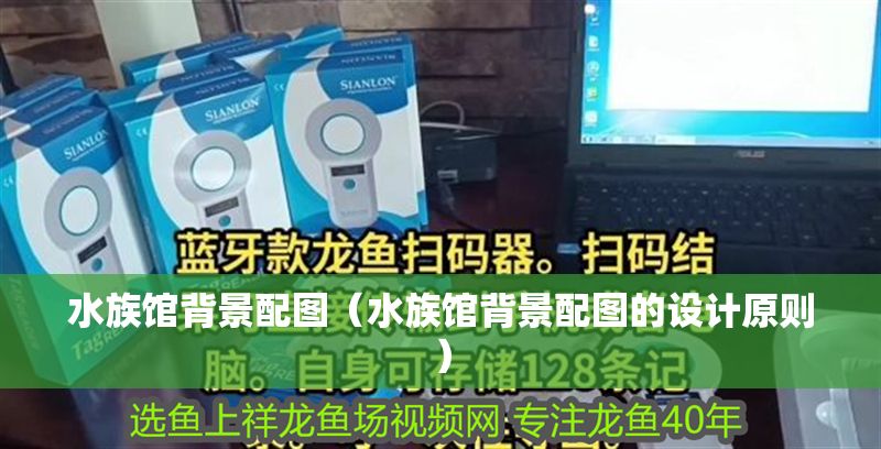 水族館背景配圖（水族館背景配圖的設(shè)計原則）