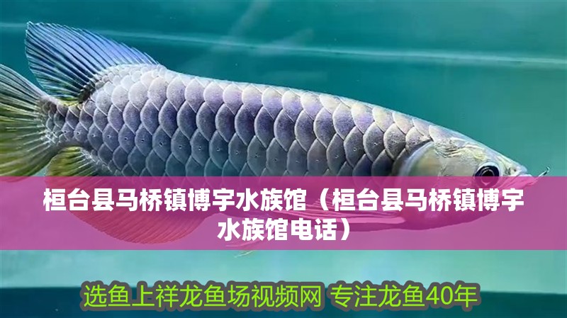 桓臺(tái)縣馬橋鎮(zhèn)博宇水族館(桓臺(tái)縣馬橋鎮(zhèn)博宇水族館電話) 全國(guó)水族館企業(yè)名錄 第2張 桓臺(tái)縣馬橋鎮(zhèn)博宇水族館(桓臺(tái)縣馬橋鎮(zhèn)博宇水族館電話) 桓臺(tái)縣馬橋鎮(zhèn)博宇水族館(桓臺(tái)縣馬橋鎮(zhèn)博宇水族館電話) 全國(guó)水族館企業(yè)名錄 第2張